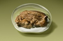 Peregrine Honig, Twin Fawns via twinfawns.net