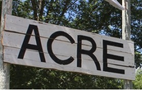 Curatorial Board: ACRE Projects & Residency