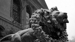 One of Edward Kemeys’s bronze lions at the entrance to the Art Institute of Chicago (photo by Christian Newton, via Flickr)