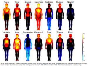 Bodily topography of emotions associated with words (via pnas.org)