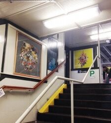 Flowers on the Blue Line / Hyperallergic