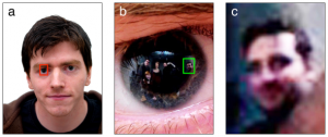In the middle image, five bystanders are clearly visible in the zoomed-in corneal reflection. (Credit: PLOS One)